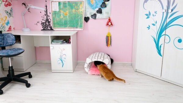 «Cat's House» white frame - pink fur - Image 7