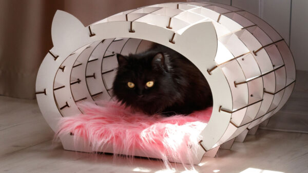 «Cat's House» white frame - pink fur - Image 9