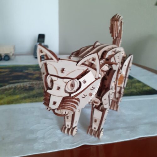 Image #1 from Matthijs Versteeg