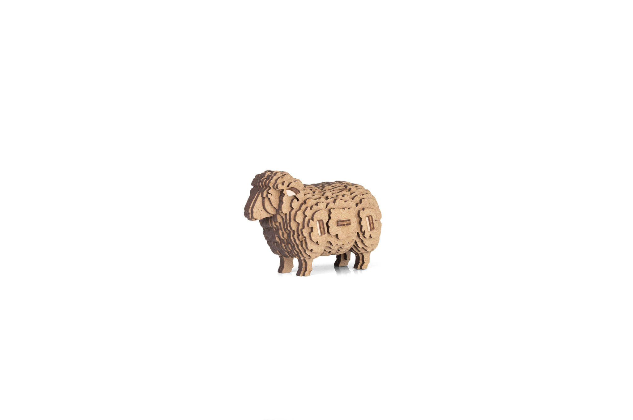 Sheep - Image 5