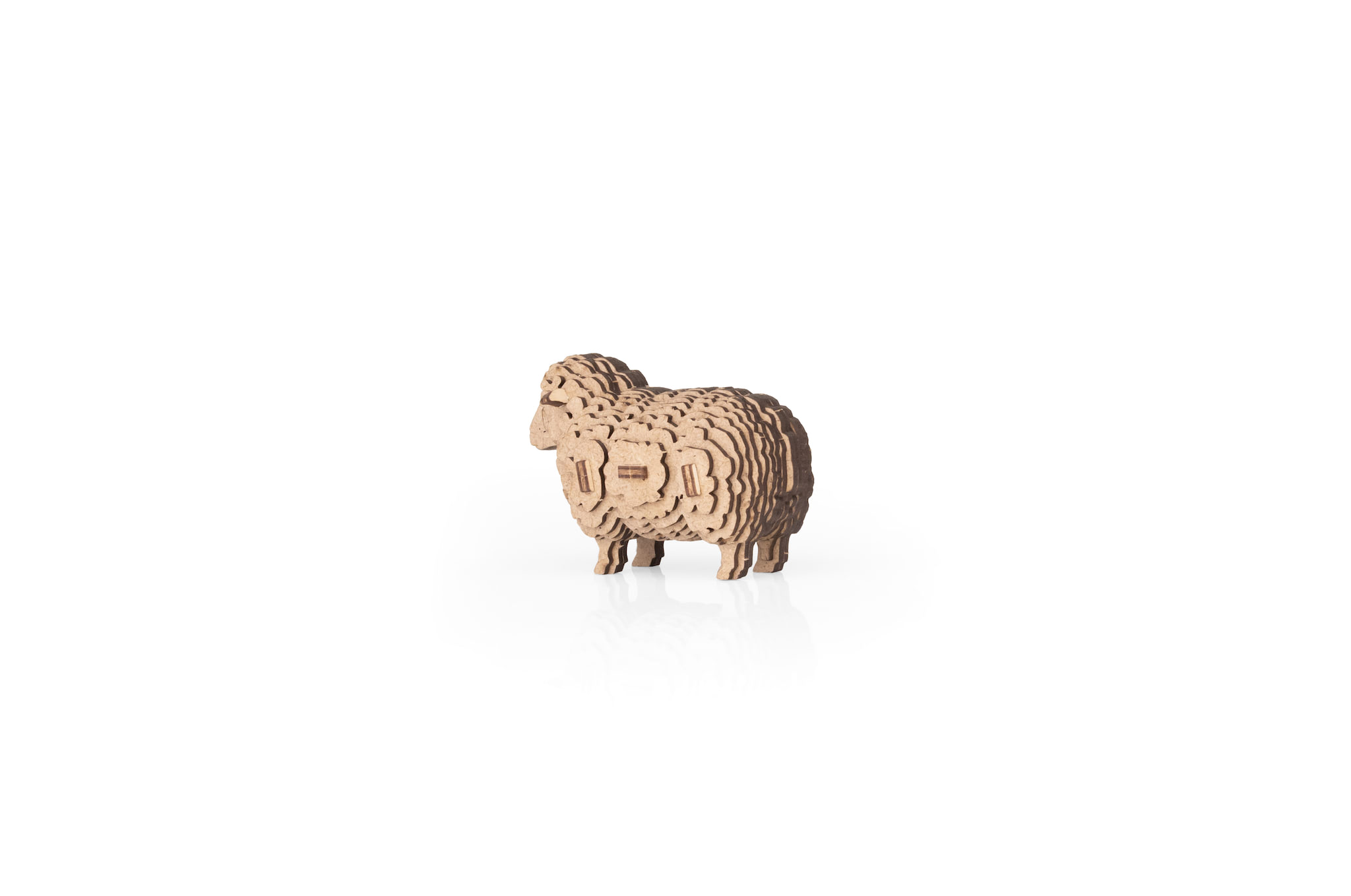 Sheep - Image 4