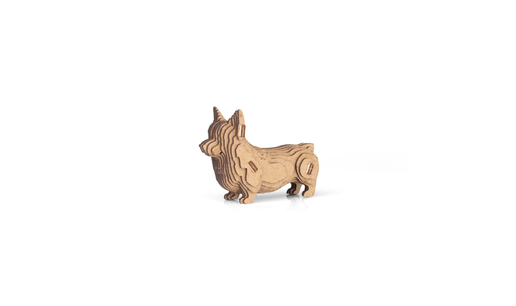Corgi - Image 2