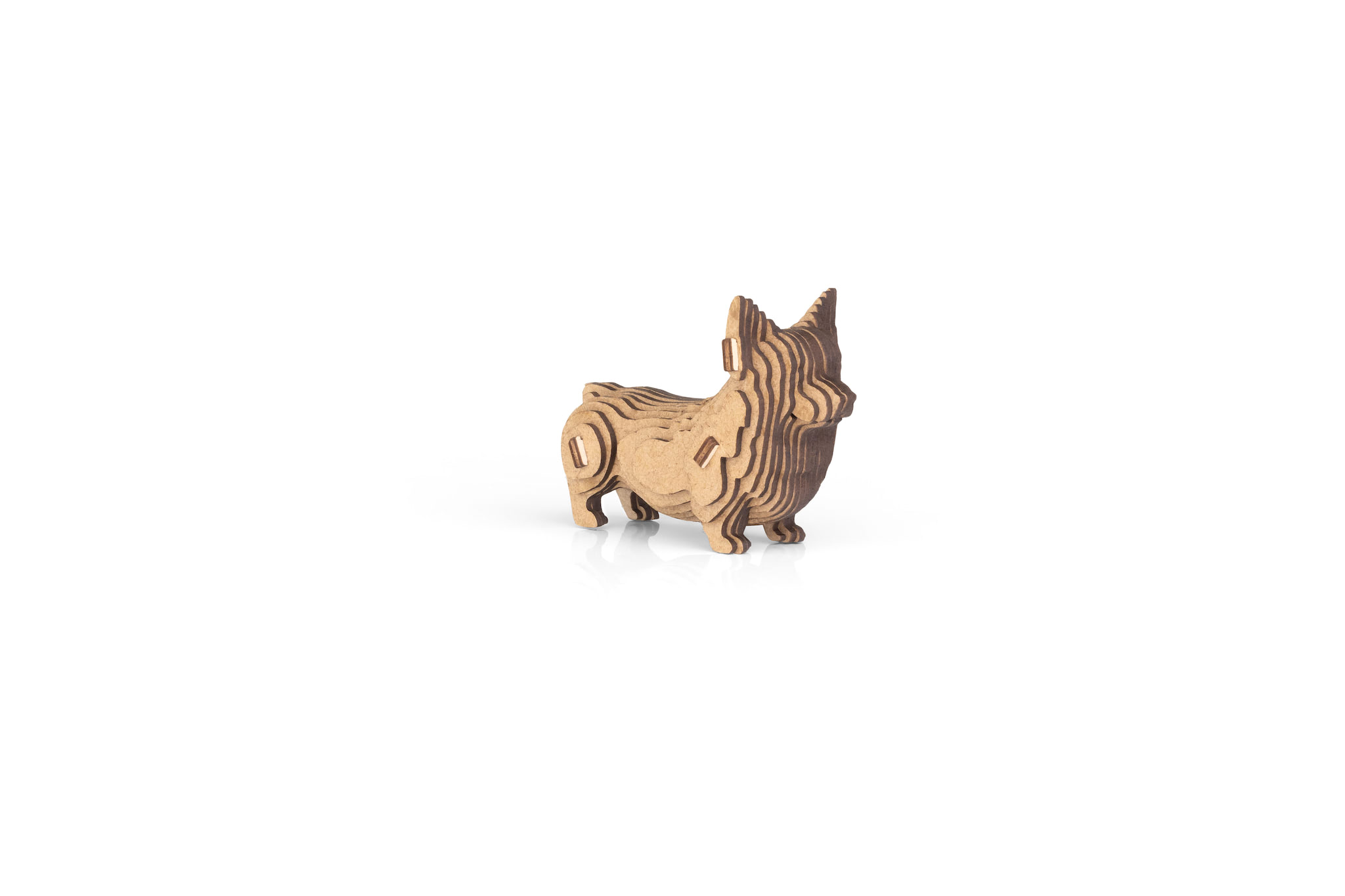 Corgi - Image 4