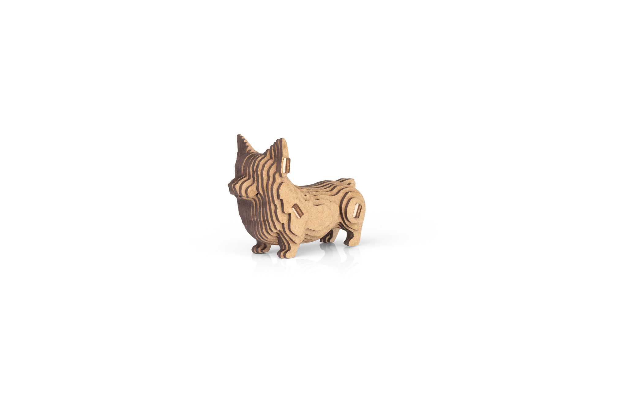 Corgi - Image 5