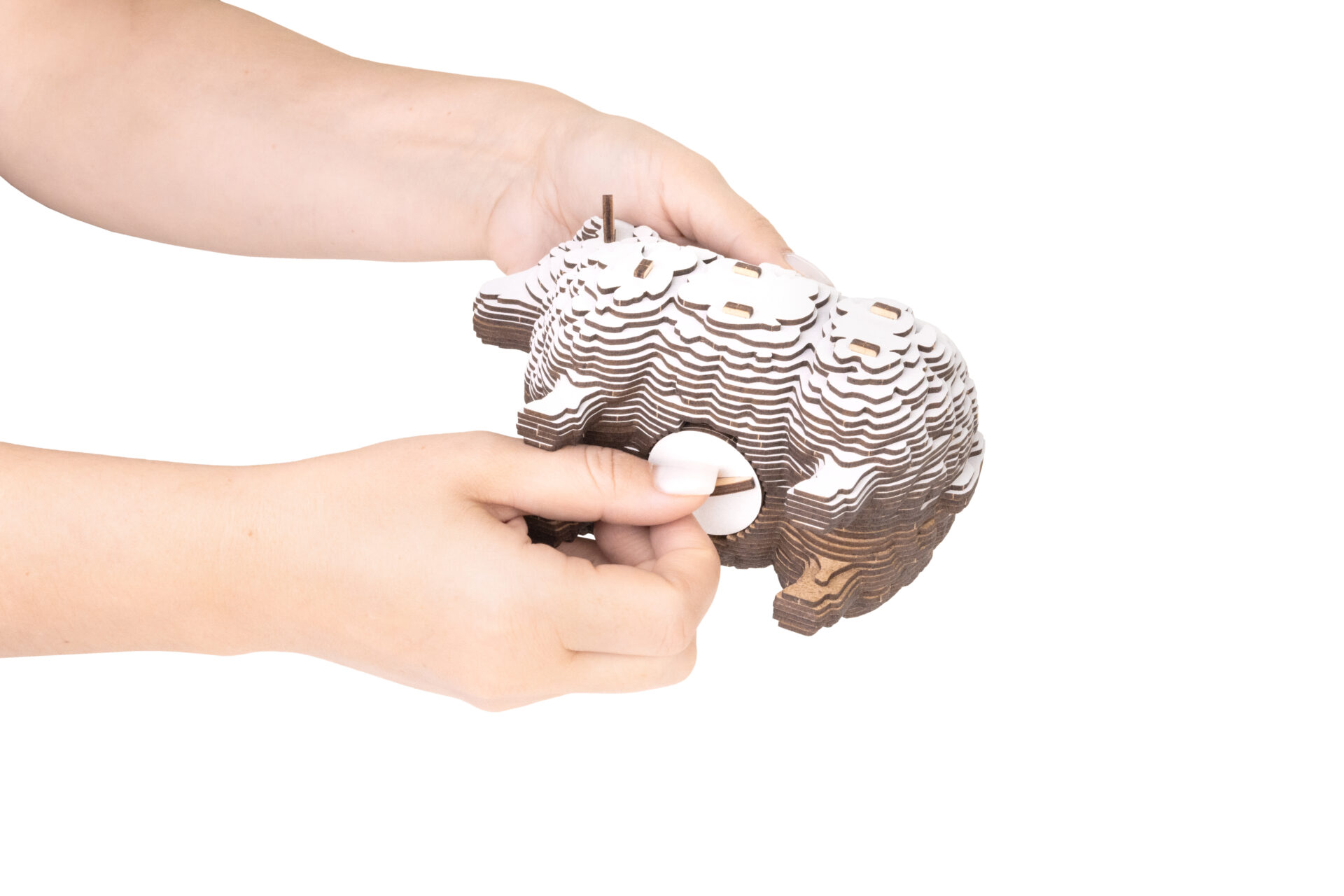 Sheep-coinbank - Image 4